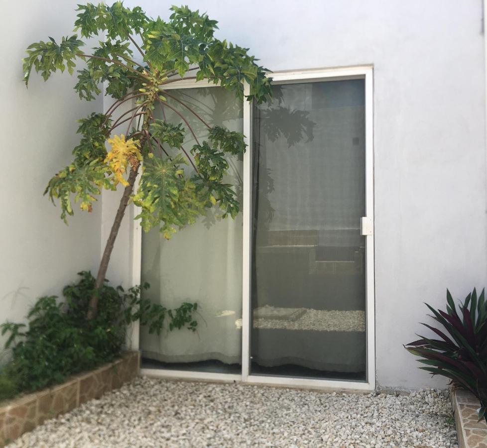 Green Lofts كانكون المظهر الخارجي الصورة