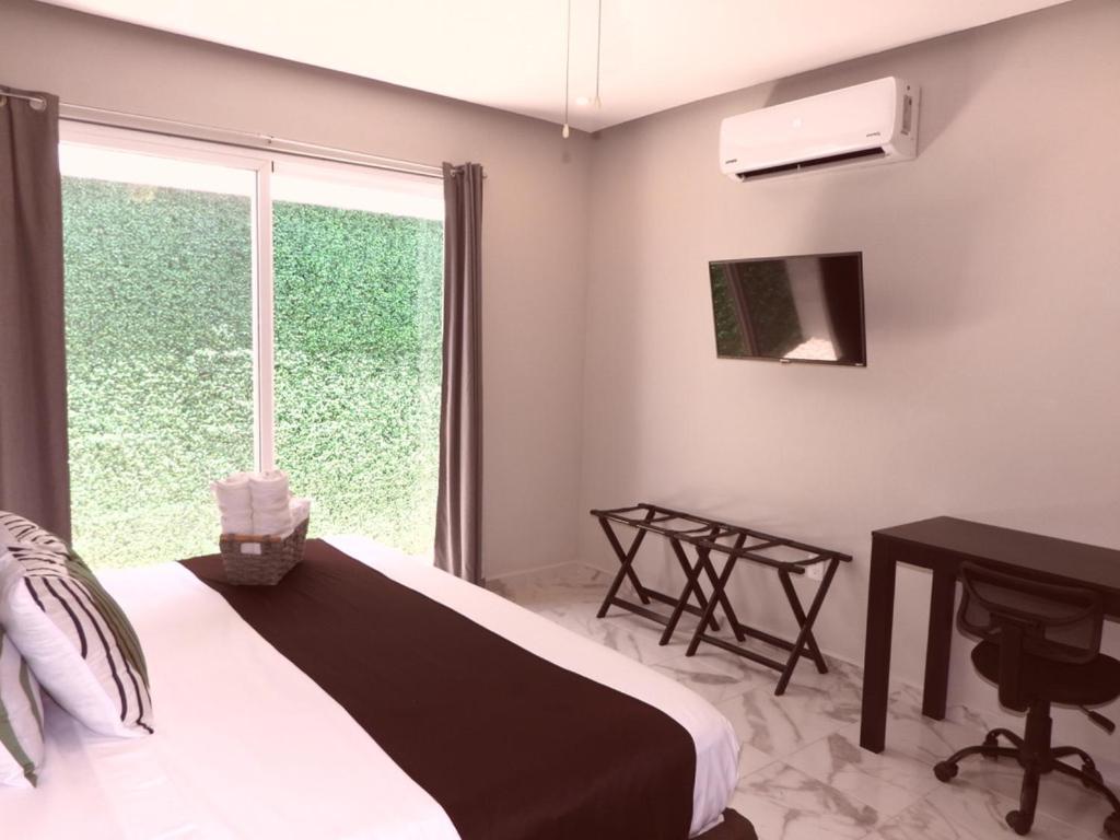 Green Lofts كانكون المظهر الخارجي الصورة